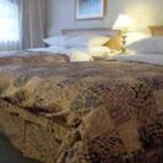 Hotel Chicago, Ahmedabad 3